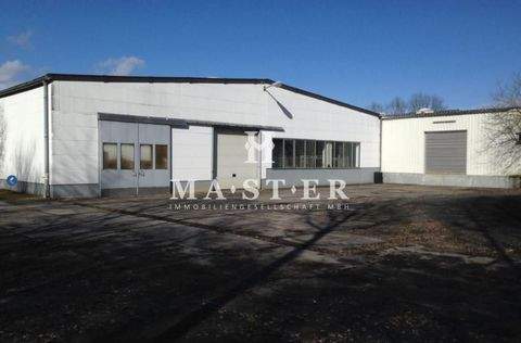 Eichenzell Halle, Eichenzell Hallenfläche