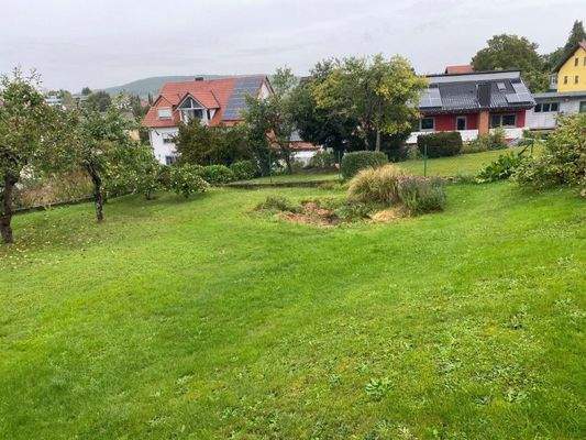  Obstbäume im Garten