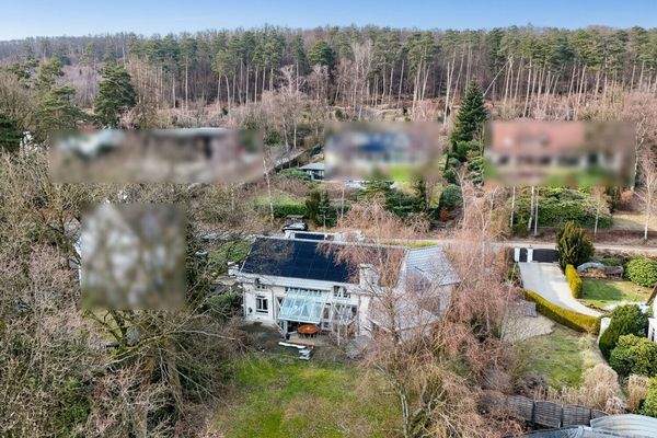 Luftaufnahme Waldrand