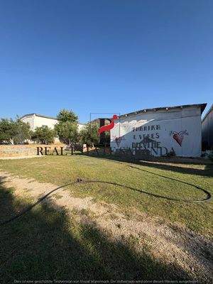 WhatsApp Image 2025-08-27 at 18.00.13.jpeg