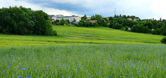 DAS PERFEKTE GRUNDSTÜCK MIT SÜDAUSRICHTUNG UND BLICK IN DIE FREIE NATUR!