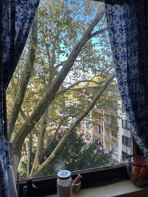 Blick aus der Küche