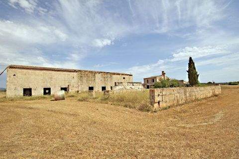 Campos Häuser, Campos Haus kaufen