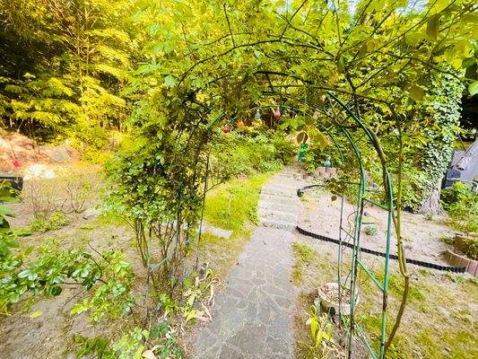 Blickrichtung: Rückseite des Grundstücks 