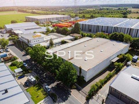 Achim Halle, Achim Hallenfläche