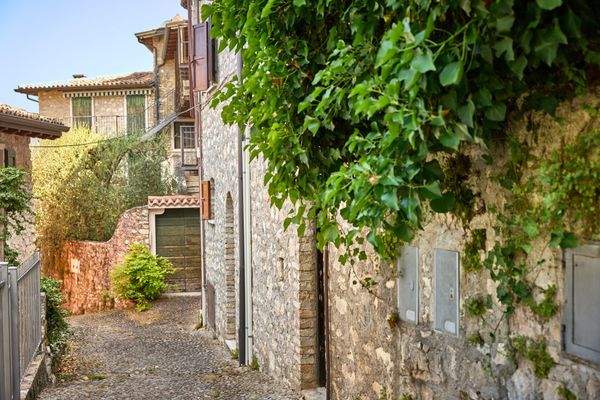 Biaza - Loc Fasor 10 - ID1_5211 (WEB).jpg