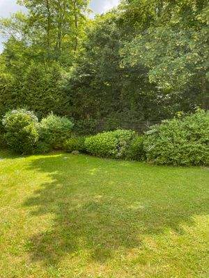 Blick in den Garten