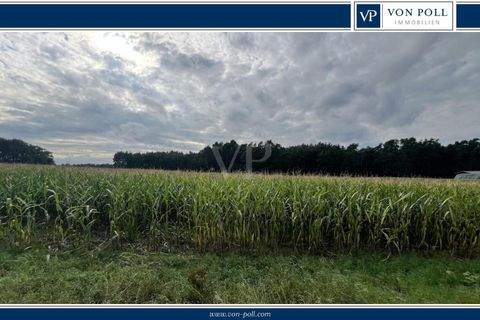 Bugk Bauernhöfe, Landwirtschaft, Bugk Forstwirtschaft