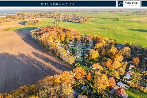 Prohn / Sommerfield Häuser, Prohn / Sommerfield Haus kaufen