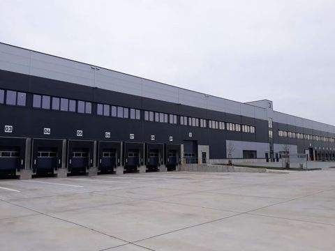 Egelsbach Halle, Egelsbach Hallenfläche