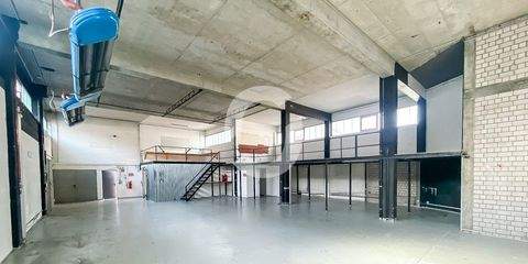 Stuttgart Halle, Stuttgart Hallenfläche