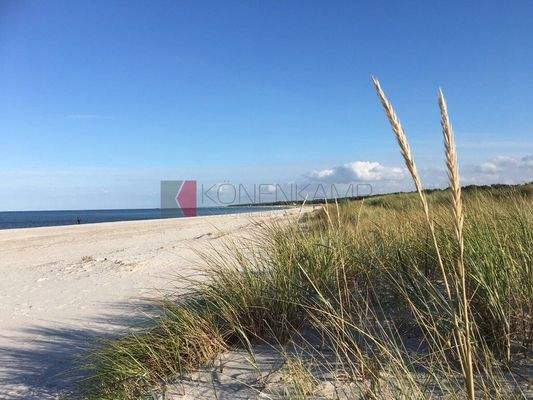 60 km feinster Sandstrand auf Darß-Fischland-Zingst