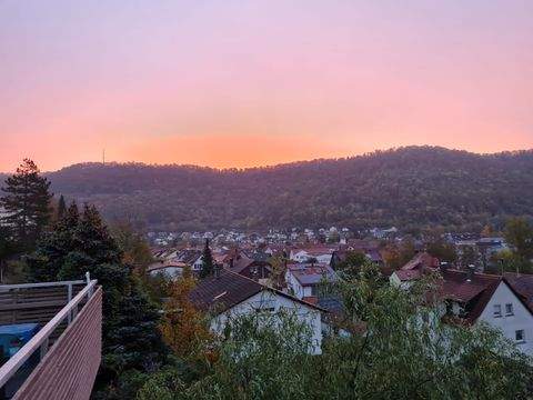 Lichtenstein Wohnungen, Lichtenstein Wohnung kaufen