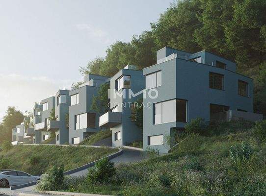 Front-Visualisierung