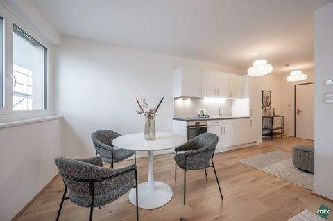 Wien Wohnungen, Wien Wohnung mieten