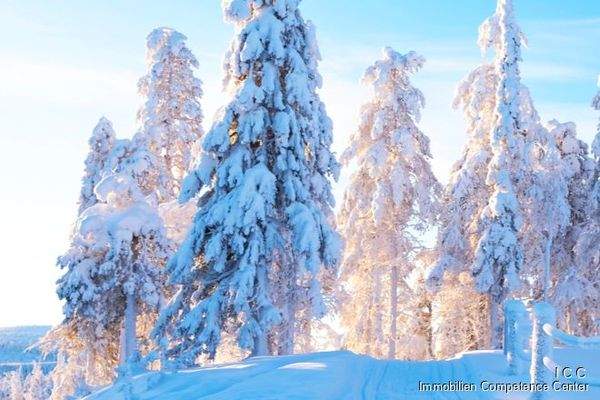 Winterbild - Open House Event - Binderhäusl 2, Stubenberg - Simbach am Inn - ICC Immobilien Competence Center