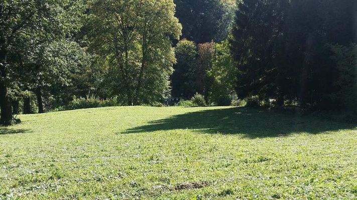 Baugrundstück Wien kaufen (1)