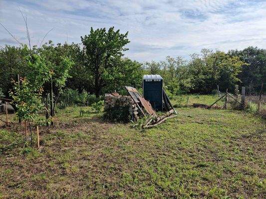 20250507_084402 (1).jpg