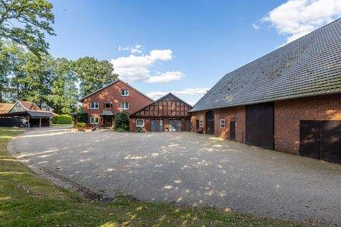 Alfhausen Bauernhöfe, Landwirtschaft, Alfhausen Forstwirtschaft