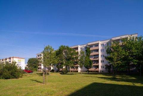 Halle Wohnungen, Halle Wohnung mieten