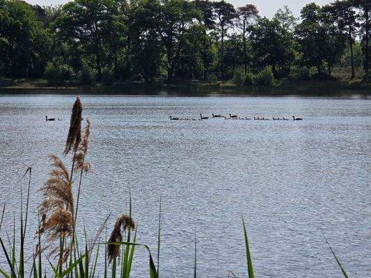 PHOTO-2025-05-05-12-05-06