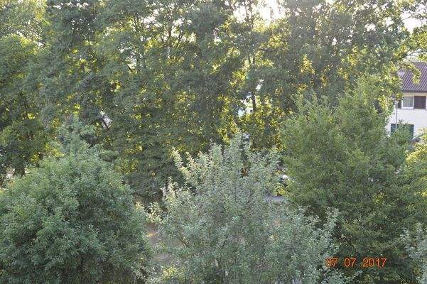 Hauptzimmer Westblick