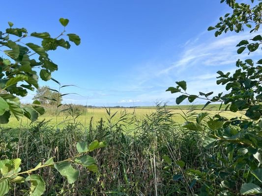 Blick zum Nordseedeich