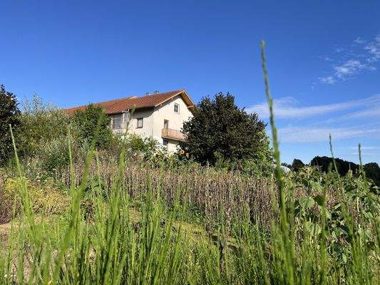 Ansicht, Haus mit Garten