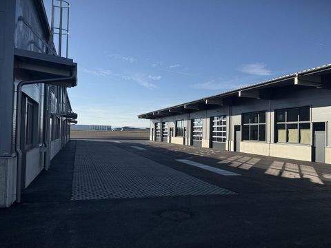 Teesdorf Halle, Teesdorf Hallenfläche