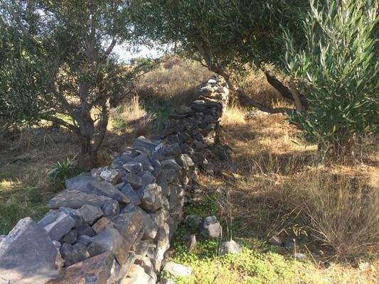 Kreta, Elounda: Baugrundstück in Touristengebiet zu verkaufen