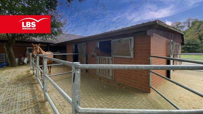 Zugang Ihrer Pferde ins Freie