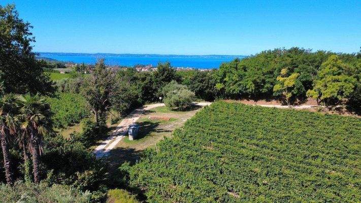 dji_fly_20250709_102032_17_1752051930049_photo_opt