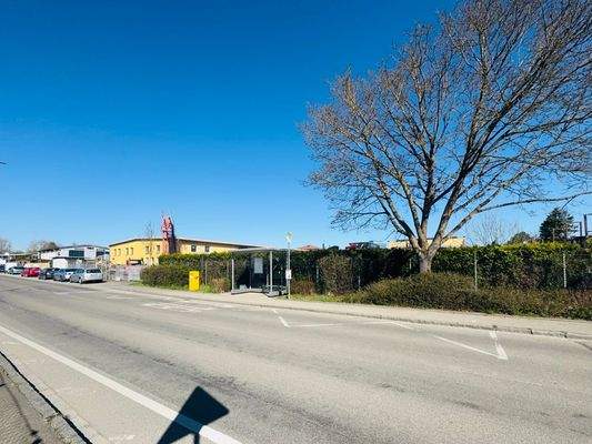 Blick Zufahrt Grundstück Bild 2