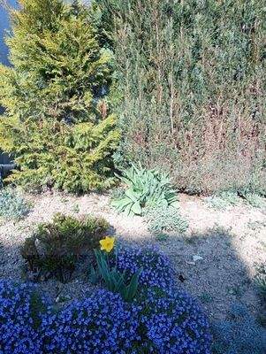 589728350_733680612502581_820199837033587429_n