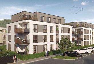 Zwischen Petersberg und Drachenfels