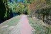 Am Waldrand