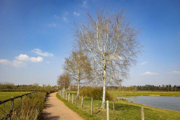  Landschaftspark Rudow-Altglienicke 