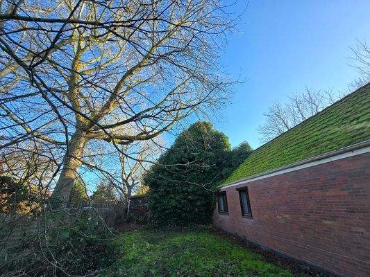 AMDI Seitenansicht.jpeg