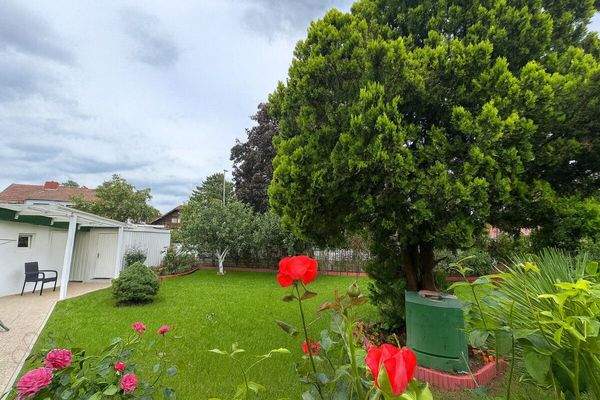 Image Sep 5, 2025, 12_13_05 AM