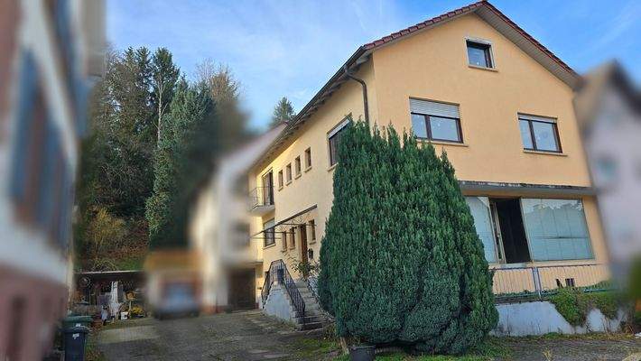 Hausansicht Straßenseite