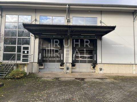 Kerpen Halle, Kerpen Hallenfläche