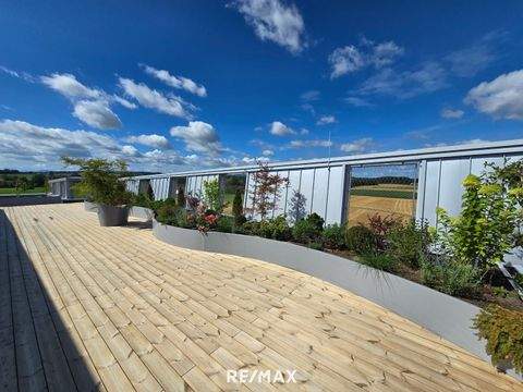 Taufkirchen an der Trattnach Büros, Büroräume, Büroflächen 