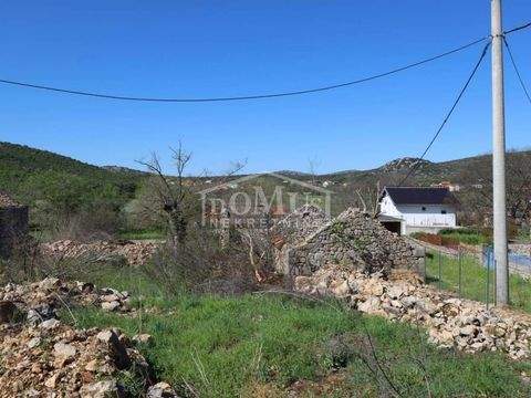 Vodice Bauernhöfe, Landwirtschaft, Vodice Forstwirtschaft