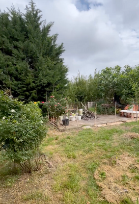 Bildschirmfoto 2025-05-02 um 18.34.33.png