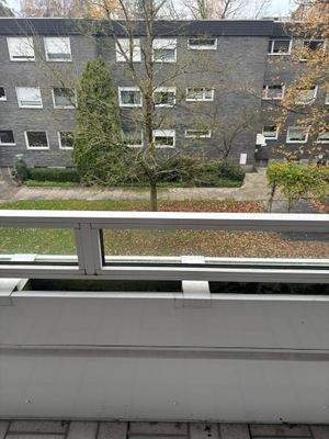 WhatsApp Image 2025-11-14 at 17.33.26