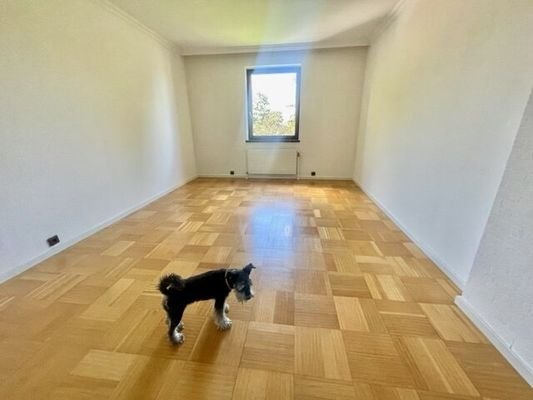 Bild 33