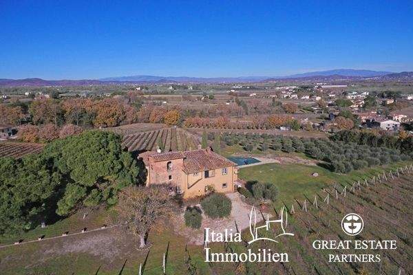 Schöne helle Villa in herrlicher Lage mit Türmchen, Pool, Weinberg und Olivenhain