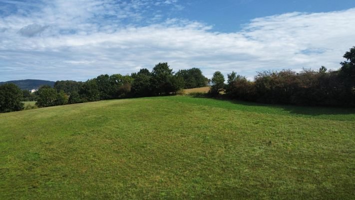 Wiese St. Leonhard am Forst