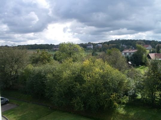 Blick ins Grüne