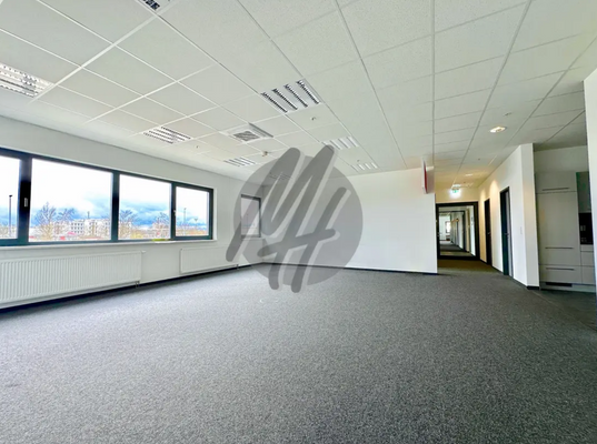 INFOS UNTER: 06171-586000